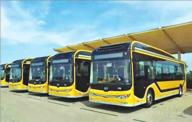 加油改充电公交“绿”意浓 哈尔滨新能源公交车占比达72.9%