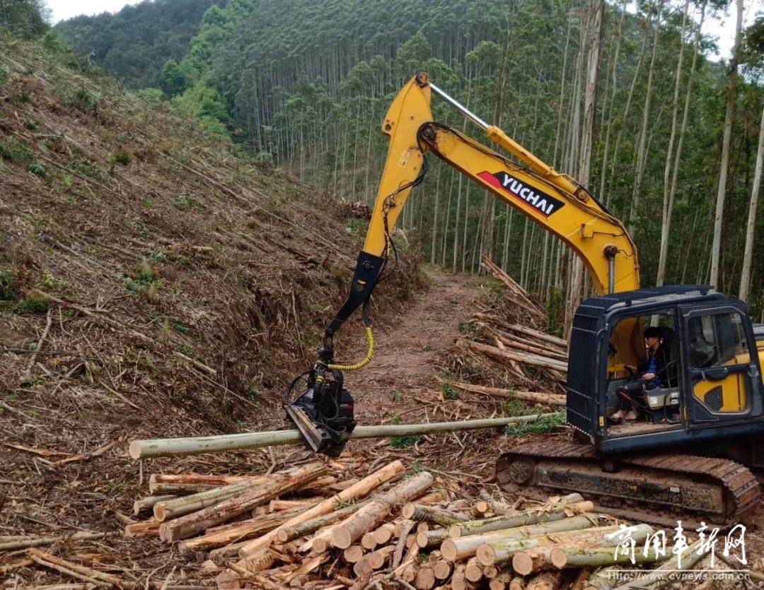 共建全国林业机械化示范基地！玉柴重工与广西最大林场签约合作