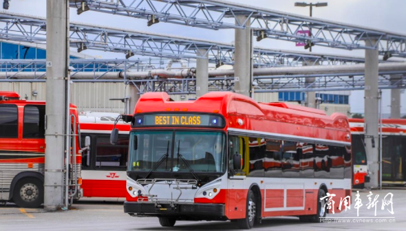 枫叶之国再掀新能源风 比亚迪电动巴士正式驶入加拿大最大城市