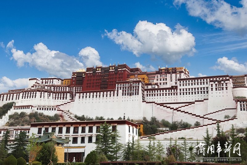 扎根西藏五年，高原+高寒的电动车“hard”模式，比亚迪靠什么闯过去？