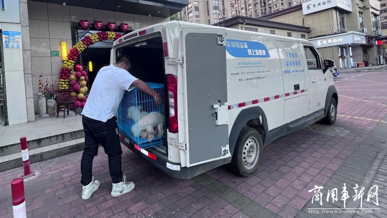 3个月3万公里，智蓝精灵成上海杨师傅的宠物移动城堡！
