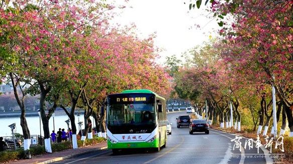 让出行更美好！肇庆“绿色公交”助力实现“双碳”目标