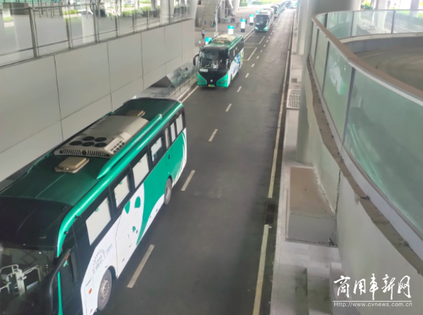 彰显中华文化底蕴 格力钛新能源公交受大运会选手追捧