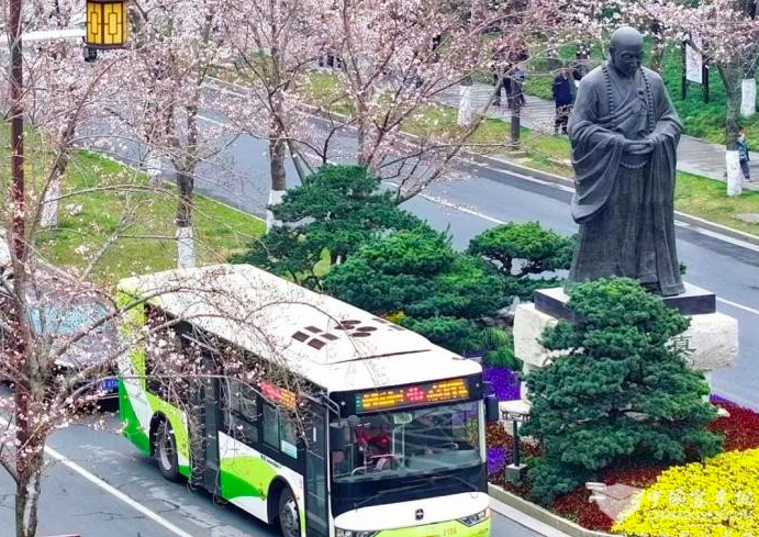 樱花季来临！扬州公交带您畅游花海